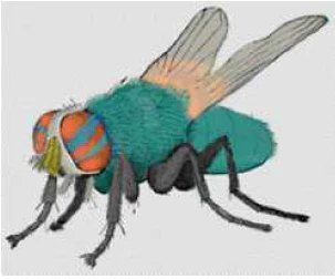 Bug Poem Book (Ebook) - Image 2