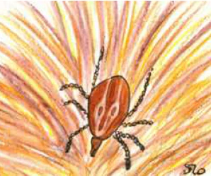 Bug Poem Book (Ebook) - Image 7